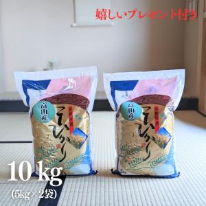 キヌヒカリ 新米 お米 20kg 京都 きぬひかり 玄米 5kg×4袋 令和7年産