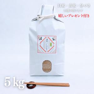ひとめぼれ 新米 お米 10kg 特別栽培米 宮城県 令和7年産 玄米 5kg×2袋