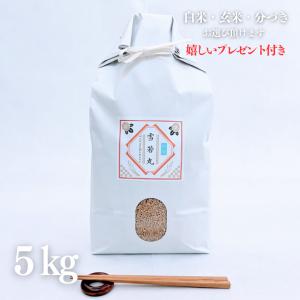 お米 5kg 山形県産 雪若丸 玄米 5kg×1袋 令和5年産 精米無料 白米 5分付き 7分づき 熨斗無料 グルメ ギフト 紙袋 嬉しいプレゼント付き 送料無料｜yamasina