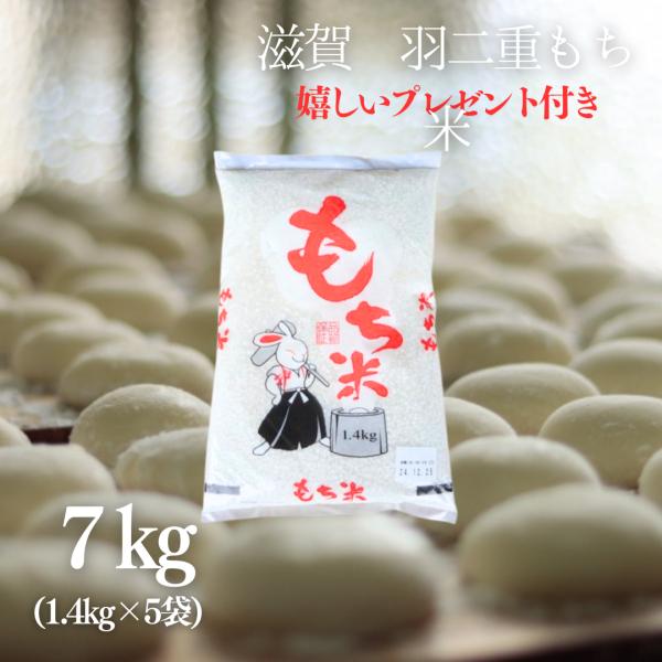 新米 お米 羽二重 もち米 7kg (1.4kg×5袋) 令和7年産 滋賀県産 餅つき 餅 お餅 お...