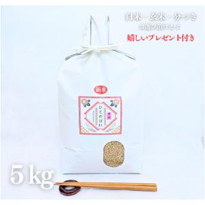 ひとめぼれ お米 10kg 特別栽培米 宮城県 令和7年産 玄米 5kg×2袋 精米
