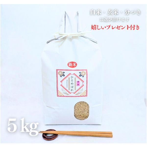 新米 お米 5kg 特別栽培米 宮城県 ひとめぼれ 令和7年産 玄米 5kg×1袋 精米無料 白米 ...