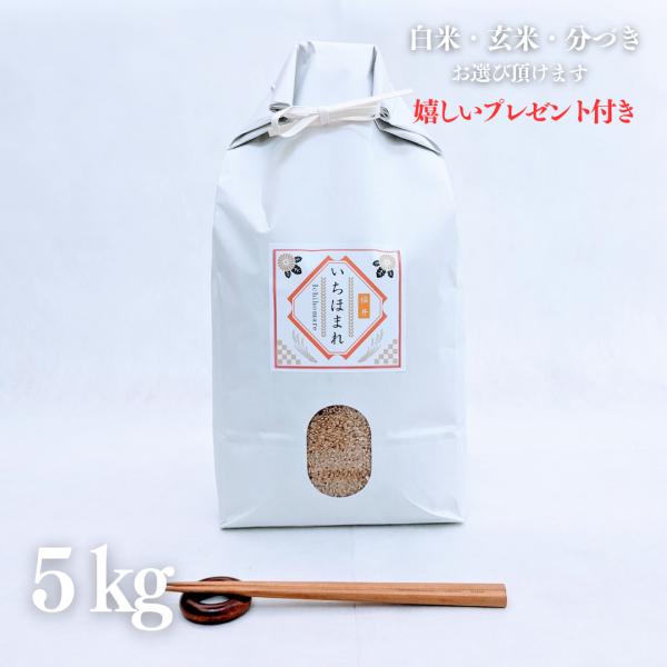 新米 お米 5kg 福井県産 いちほまれ 玄米 5kg×1袋 令和7年産 精米無料 白米 5分付き ...