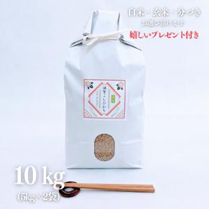 新米 令和7年産 お米 10kg 滋賀県 コシヒカリ 玄米 5kg×2袋 精米無料 白米 5分付き 7分づき 熨斗無料 グルメ 米袋 嬉しいプレゼント付き 送料無料