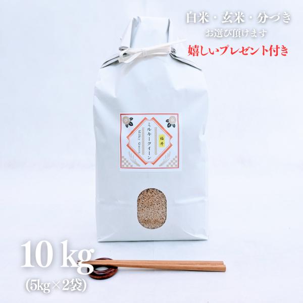新米 お米 10kg 福井県 ミルキークイーン 玄米 5kg×2袋 令和7年産 精米無料 白米 5分...