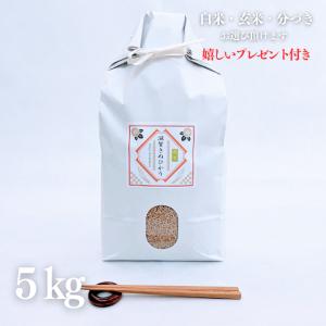 令和6年度米 新米　キヌヒカリ米　精米済み 白米　美味しい米　27キロ　11900円 キヌヒカリ 新米 お米 20kg 京都 きぬひかり 玄米 5kg×4袋 令和7年産