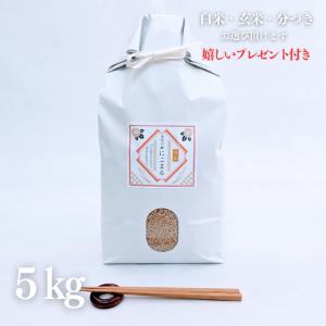 お米 5kg 高知県産 天空の郷 にこまる 玄米 5kg×1袋 令和5年産 精米無料 白米 5分付き 7分付き 紙袋 高級 熨斗 ギフト 嬉しいプレゼント付き 送料無料