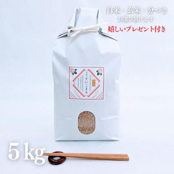 お米 5kg 高知県産 天空の郷 にこまる 玄米 5kg×1袋 令和7年産 精米無料 白米 5分付き...