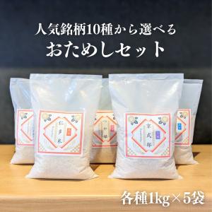 彩のかがやき 埼玉産彩のかがやき 精米10kg(5kgx2) 令和7年産 /※北海道