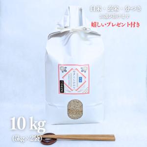 【完売】 新米 お米 10kg 七夕こしひかり 令和5年産 玄米５kg×2袋 お中元 お歳暮 お祝い お礼 選べる精米 白米 分付き 送料無料｜yamasina