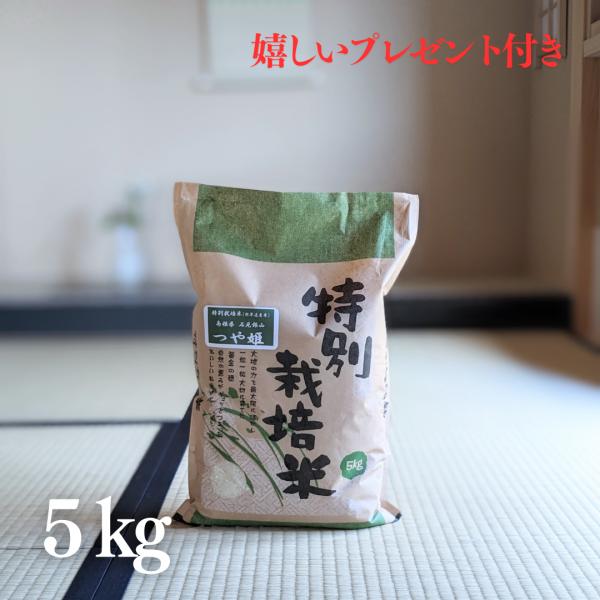 お米 特別栽培米 5kg 特A 島根県 石見銀山 つや姫 5kg×1袋 令和7年産 熨斗無料 グルメ...