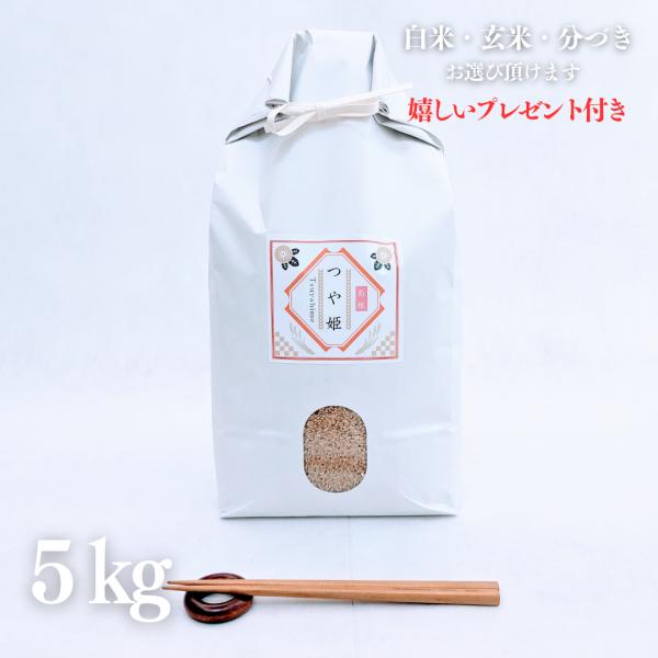 お米 5kg 島根県 石見銀山 つや姫 特別栽培米 玄米 5kg×1袋 令和5年産 精米無料 白米 ...