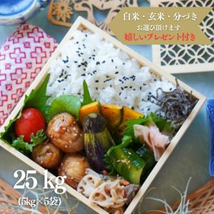 お米 25kg 佐賀県産 夢しずく 玄米 5kg×5袋 令和7年産 精米無料 白米 5分付き 7分付き 大容量 熨斗無料 グルメ 嬉しいプレゼント付き 送料無料