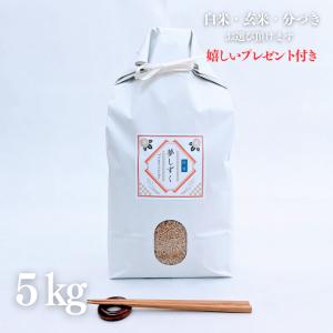 お米 5kg 佐賀県産 夢しずく 玄米 5kg×1袋 令和5年産 精米無料 白米 5分付き 7分付き 紙袋 熨斗無料 ギフト グルメ 嬉しいプレゼント付き 送料無料｜yamasina