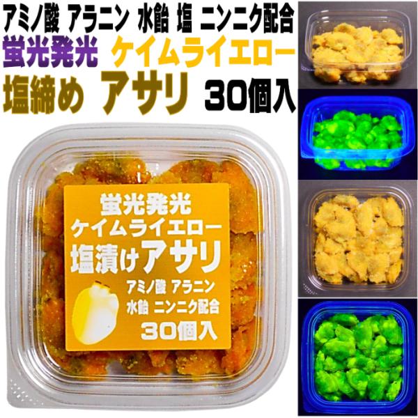 カワハギ 仕掛け アサリ 釣りエサ 刺し餌 アミノ酸甘味成分アラニン・激臭ニンニク・水飴配合 紫外線...