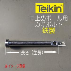 帝金バリカー用　カギボルト　鉄製　太さ12ｍｍX長さ107ｍｍ（ロックピン）｜yamasita