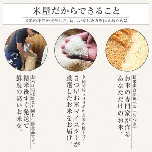 【令和7年産】農薬5割減 特別栽培米 ミルキー...の詳細画像2