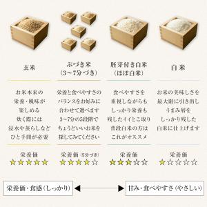【令和7年産】農薬5割減 特別栽培米 ミルキー...の詳細画像4