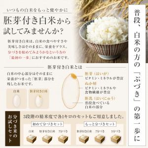 【令和7年産】農薬5割減 特別栽培米 ミルキー...の詳細画像5