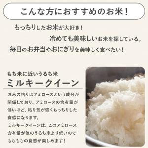 【令和7年産】農薬7割減 特別栽培米 ミルキー...の詳細画像2