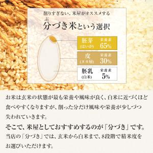 【令和7年産】農薬7割減 特別栽培米 にじのき...の詳細画像3