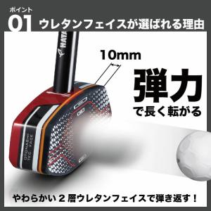 グラウンドゴルフクラブ ハタチ アルティメット...の詳細画像4