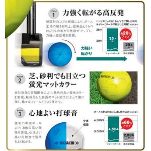 ハタチ グラウンドゴルフボール BH3460 ...の詳細画像2