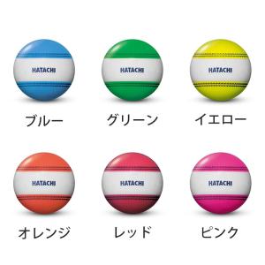 ハタチ グラウンドゴルフボール BH3851 ...の詳細画像3