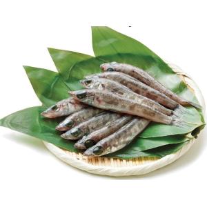 メヒカリ 干物 薫製 しらす ちりめんじゃこ の商品一覧 魚介類 海産物 食品 通販 Yahoo ショッピング
