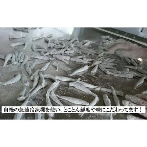 めひかり唐揚げ用粉付き新物です。340g入り ...の詳細画像2