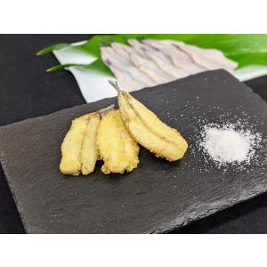 山本水産の商品一覧 通販 Yahoo ショッピング