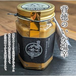 濃厚　背徳のイカ塩辛 140g おつまみ　肴　酒の肴　家...