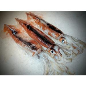 濃厚 背徳のイカ塩辛 140g おつまみ 肴 ...の詳細画像5