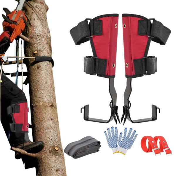 木登りスパイク | 木登りスパイク - 木登りスパイク、狩猟、果物狩り、観察のための調整可能な登りス...