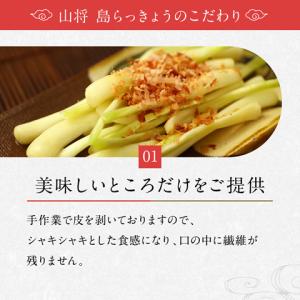 お試し 送料無料 島らっきょう 塩漬け 塩らっ...の詳細画像5