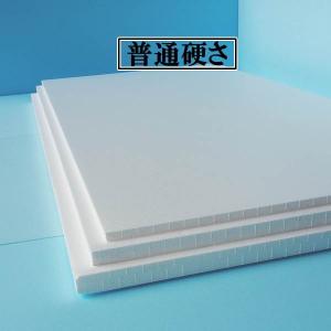 珍しい 発泡スチロール 板 断熱材 １８３０ｍｍ ９２５ｍｍ ５０ｍｍ ７枚 普通硬さ Www Lfm It
