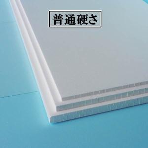 発泡スチロール 板 断熱材 １８３０mm×９２５mm×９０mm　２枚　普通硬さ