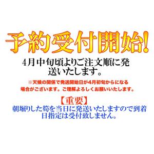 【予約受付】和歌山県産 訳あり ご自宅用 朝堀...の詳細画像1