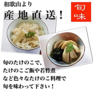 【予約受付】和歌山県産 訳あり ご自宅用 朝堀...の詳細画像4