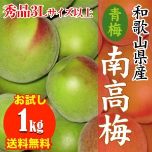 予約受付開始】和歌山県産 南高梅 完熟梅 秀品 10kg Lサイズ 送料無料
