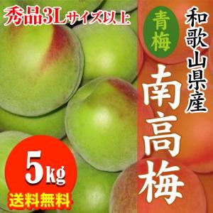 青梅 南高梅 5kg 2Lサイズ 秀品 直送 梅干し 梅酒 梅シロップ 紀州