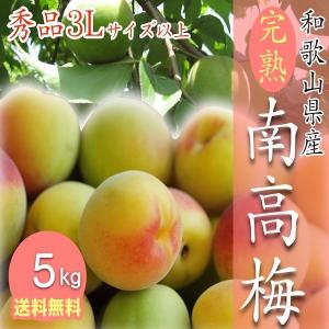 予約受付開始】和歌山県産 南高梅 完熟梅 秀品 5kg 3Lサイズ以上(3L