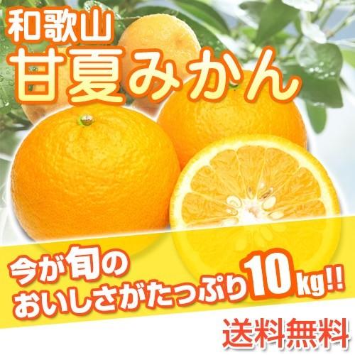 和歌山県産 訳あり 甘夏みかん あまなつ ご自宅用 10kg(傷あり サイズ不揃い シミ 汚れあり)...