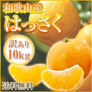 【数量限定大セール】和歌山産 訳あり八朔 はっ...の詳細画像1