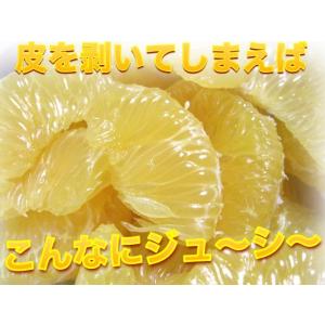 【数量限定大セール】和歌山産 訳あり八朔 はっ...の詳細画像3
