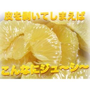 和歌山産 訳あり八朔 はっさく5kg 傷あり、...の詳細画像2