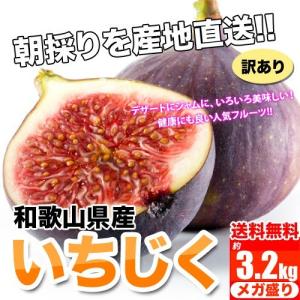 和歌山県産 訳あり イチジク いちじく 3.2kｇ 無花果 ＊8月中旬頃から入荷あり次第開始