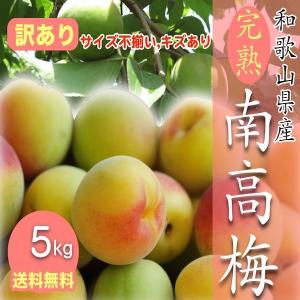 本場紀州産 木熟南高梅 3L 3kg ほんのり熟した香り高い南高梅 梅干し用