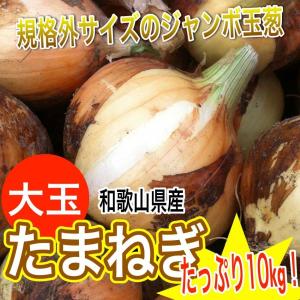 【数量限定大セール】和歌山県産 訳あり玉葱 大玉(1玉300g以上) 10kg 送料無料 淡路島産 熊本産 北海道産には負けない品質　