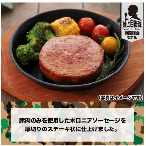 (送料無料)非常食 防災食 備蓄 日本ハム レ...の詳細画像3